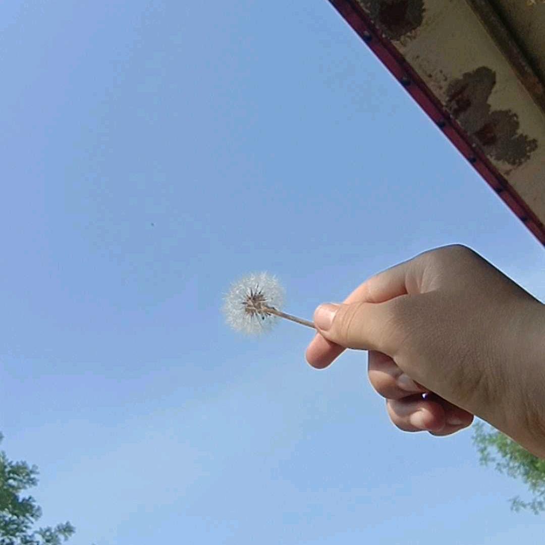 燚の碎碎念