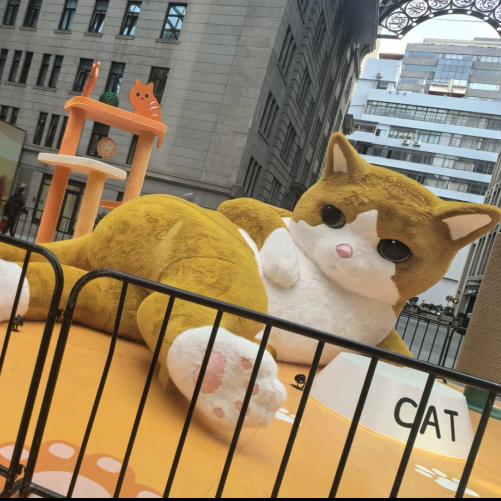 暖居小屋