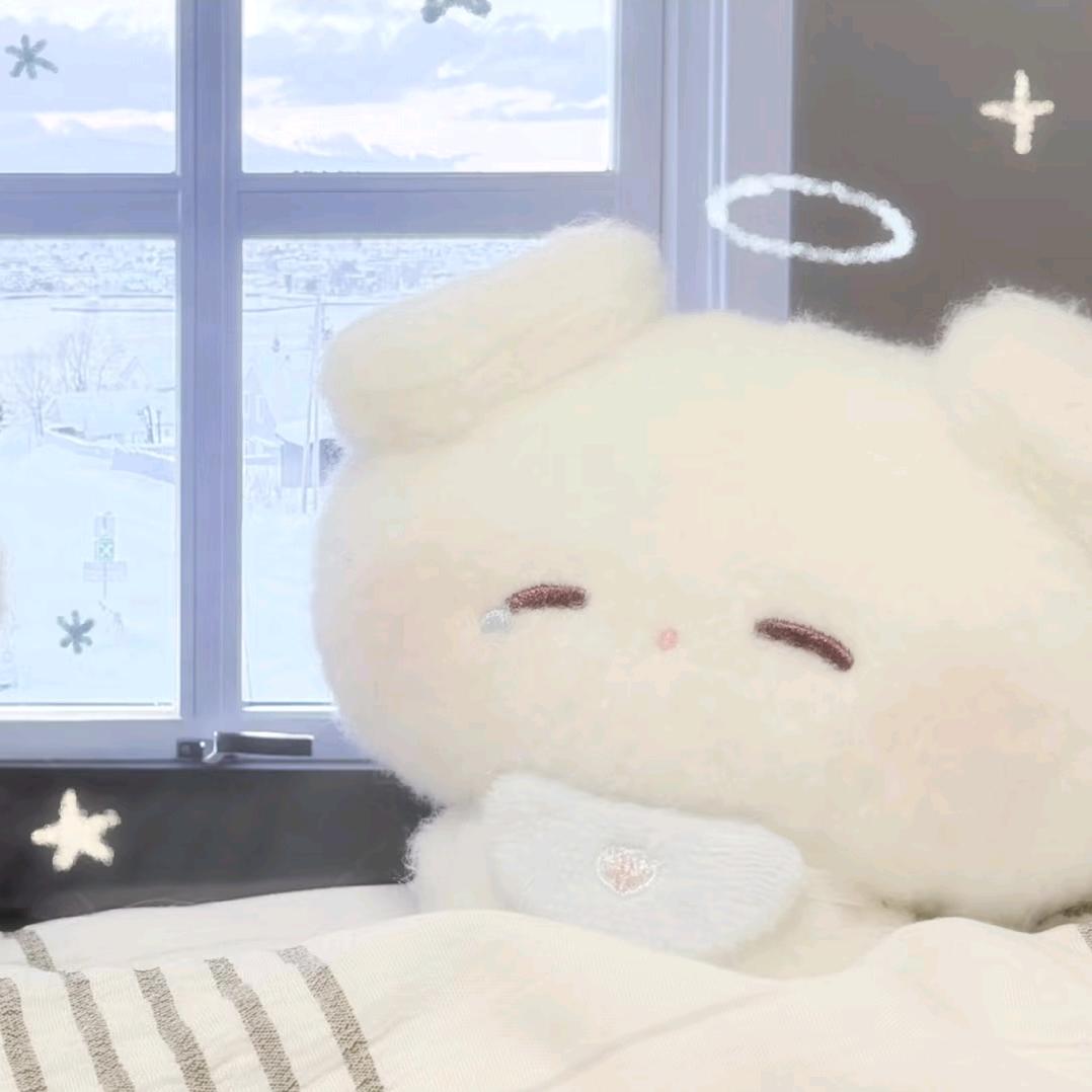 兔宝🐰