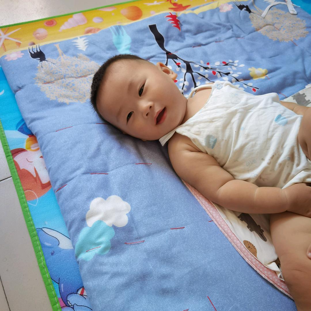 杨禹锡