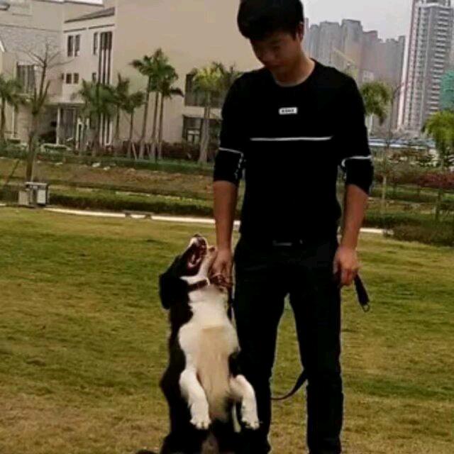 远在◣咫尺