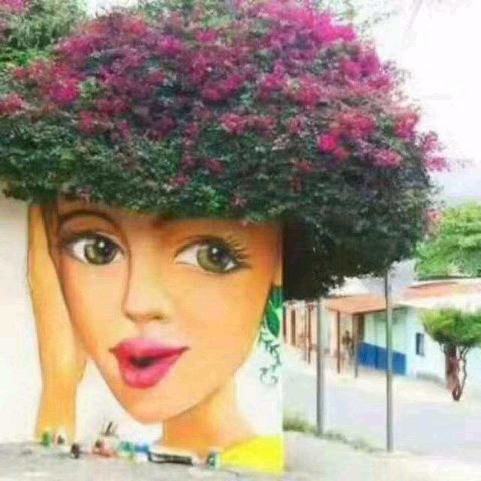 芙垚
