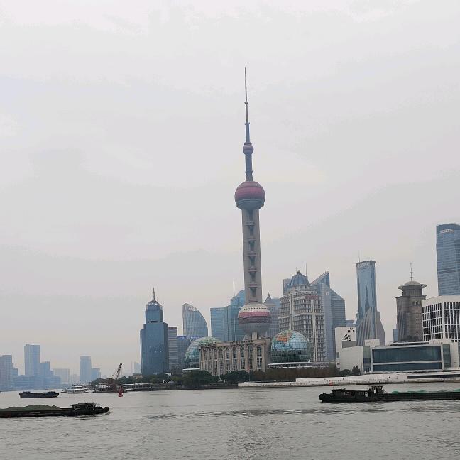 豫东涛哥