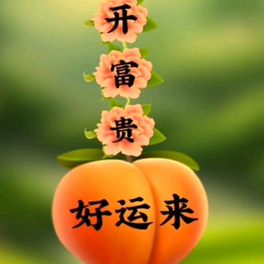 好运来临💰💰