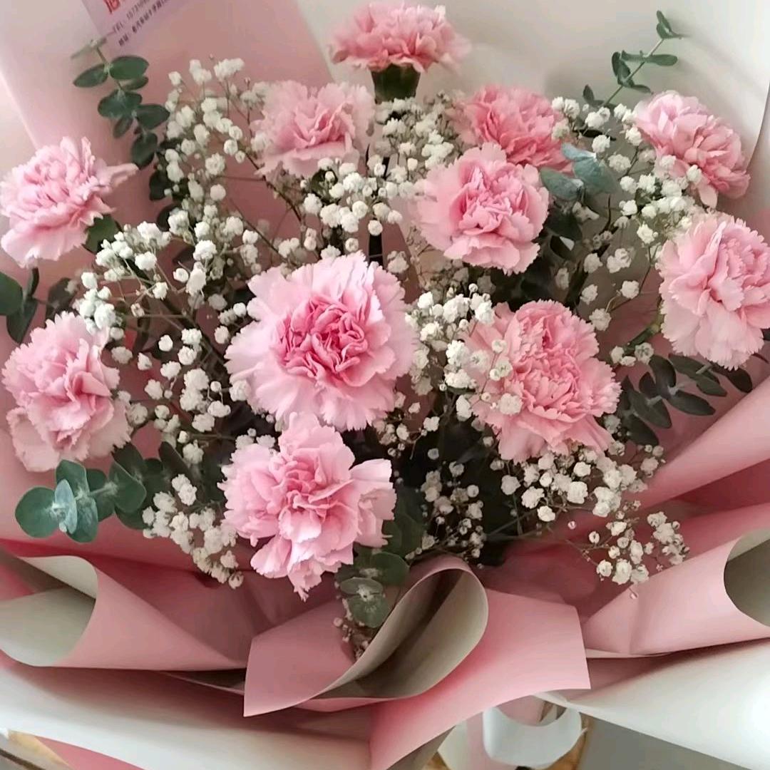 人生如梦🌹🌹