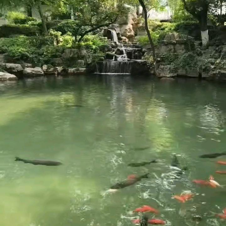 涅槃