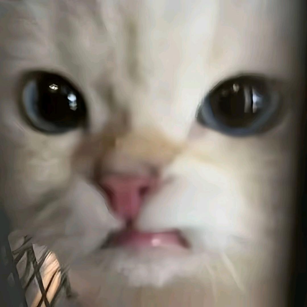 一一