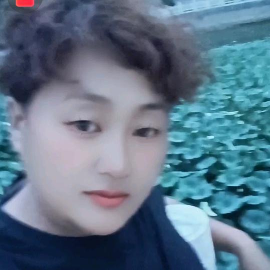 黄安木材代销刘秀华【全国各地木材】