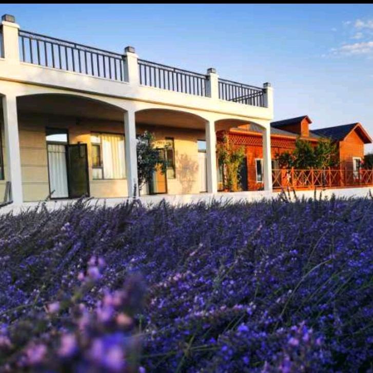 赛里木湖梵涧花园民宿