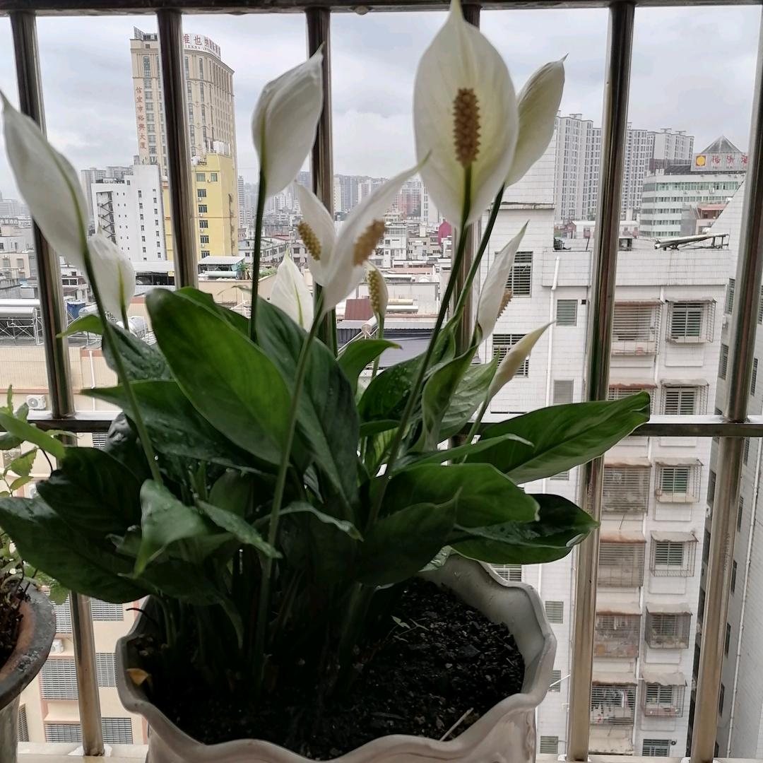 健康就是财富💞💖