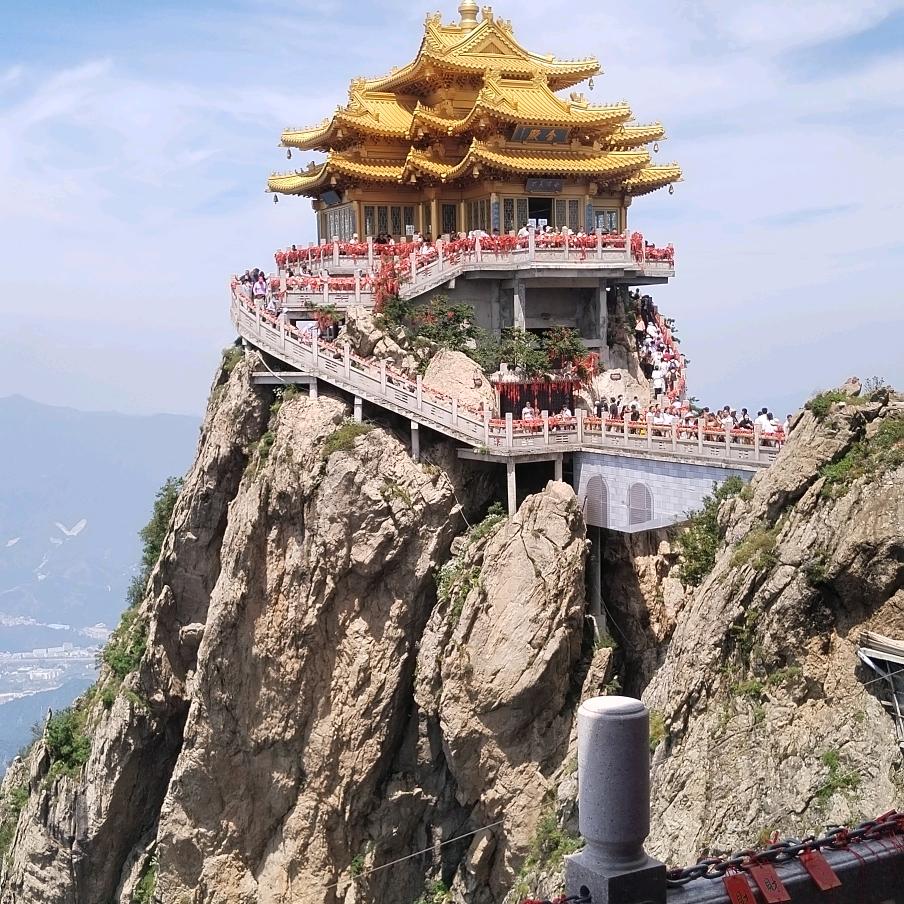 阳阳爱上狼(龙)