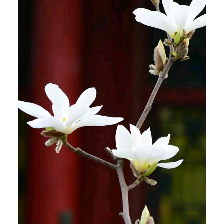 修身养性