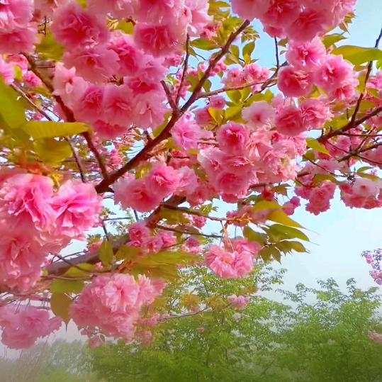 忘记一个人很难