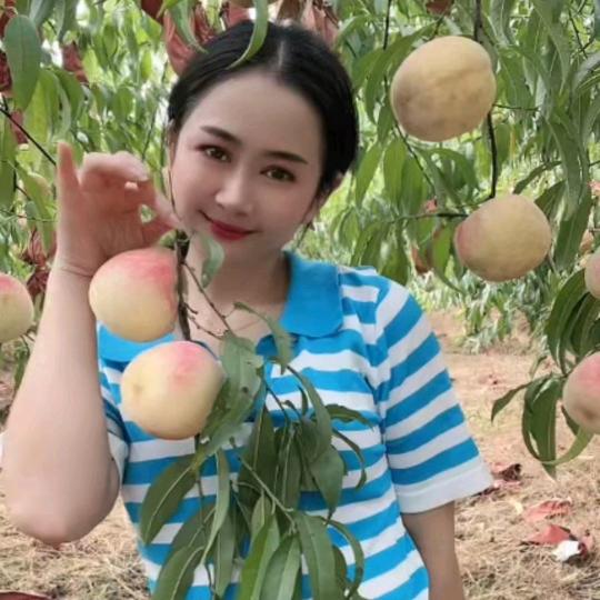 皖南小姐姐