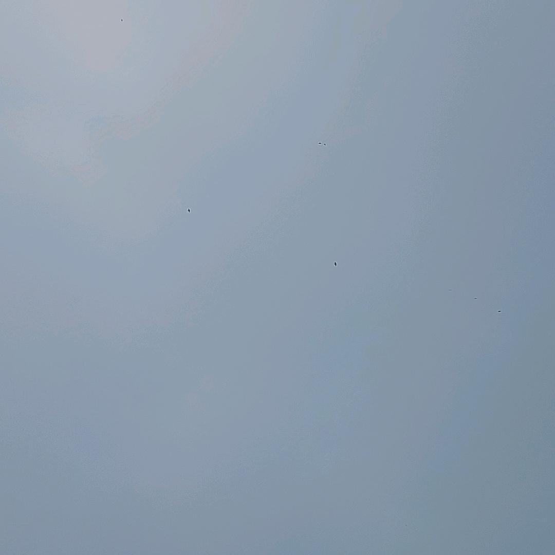 厂家直销一体杆