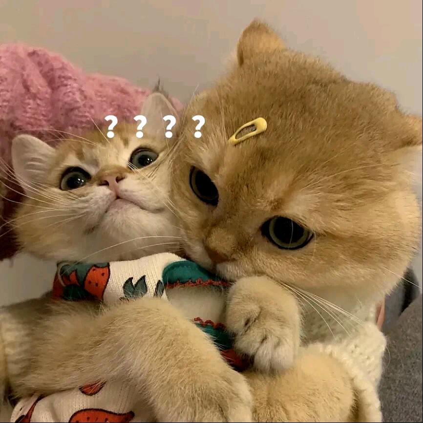 财神爷偏爱的小宝贝💰