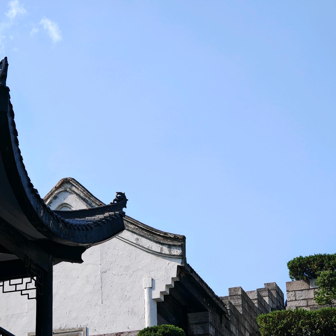 与可