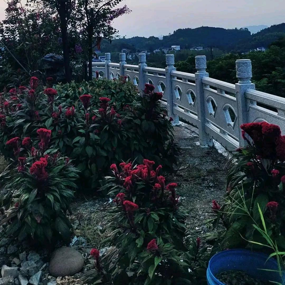 罗罗儿❤️💜