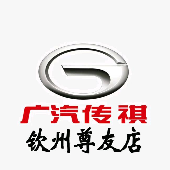广汽传祺MPV|钦州尊友店