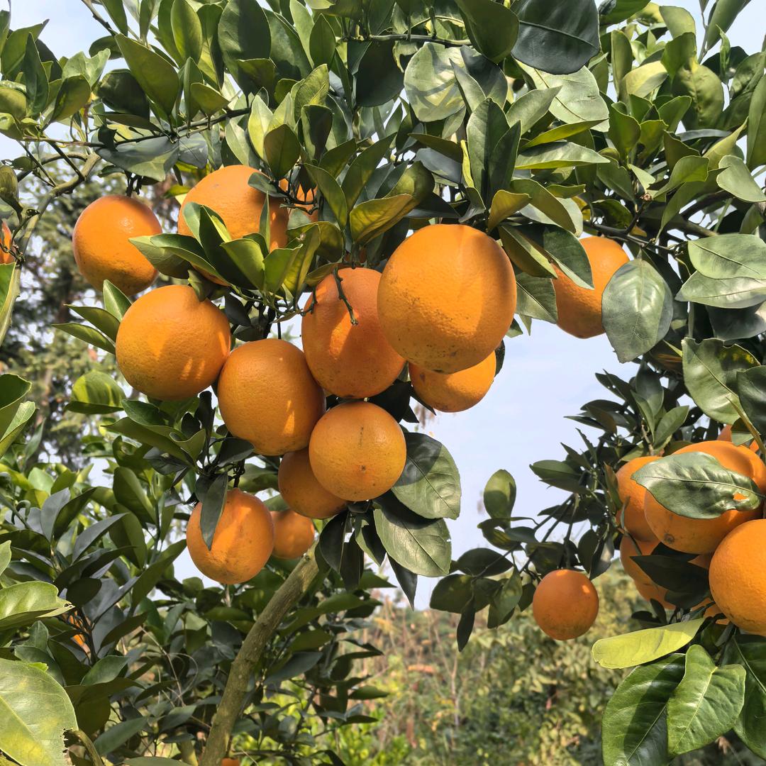 萍水相逢