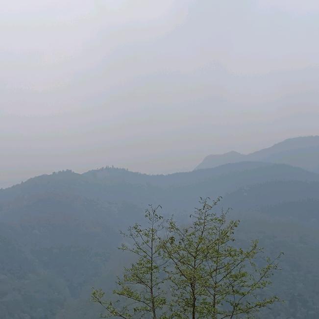 屏边星途少年景老师