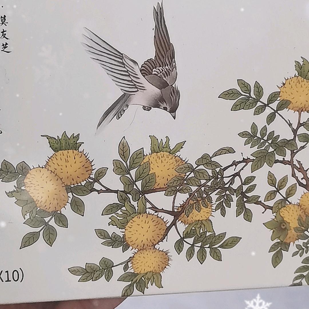 羊城打工仔05