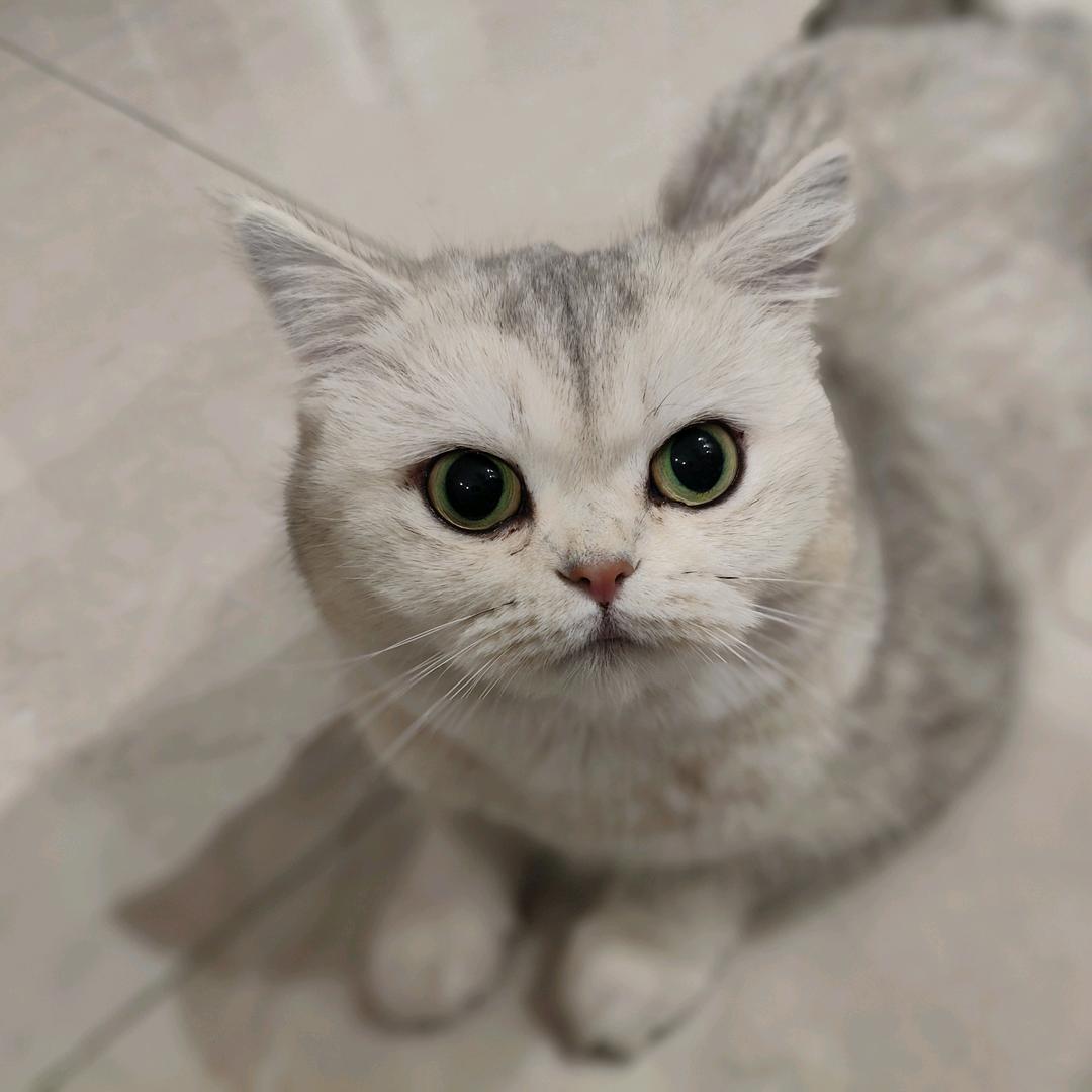 杨旸