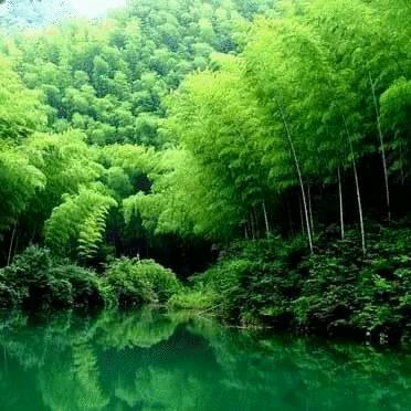 ゛清风挽心*͡ꦿ：゛：✔