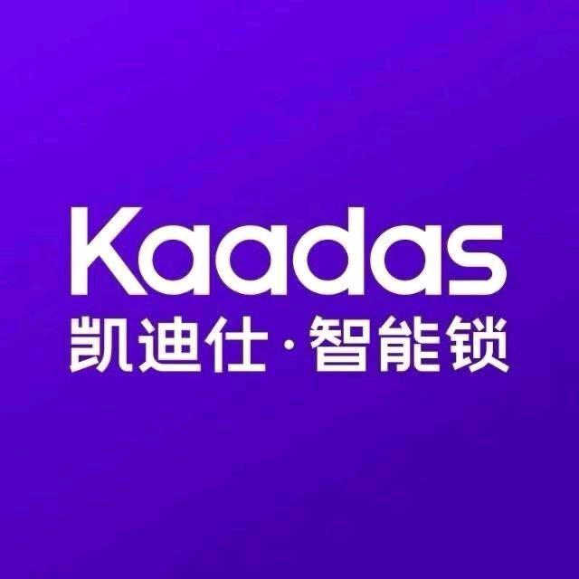 凯迪仕智能锁(西关印象店)专用号