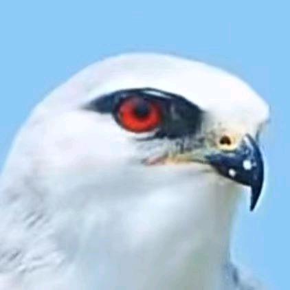 1336