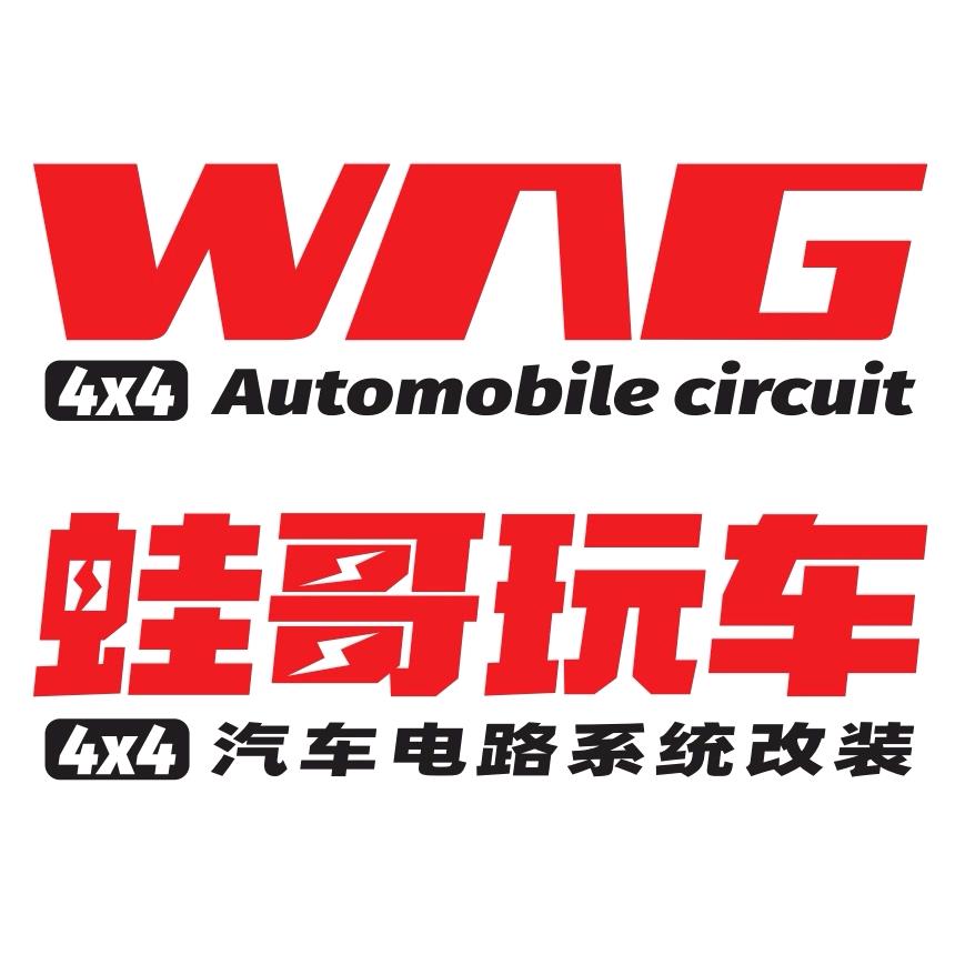 蛙哥玩车