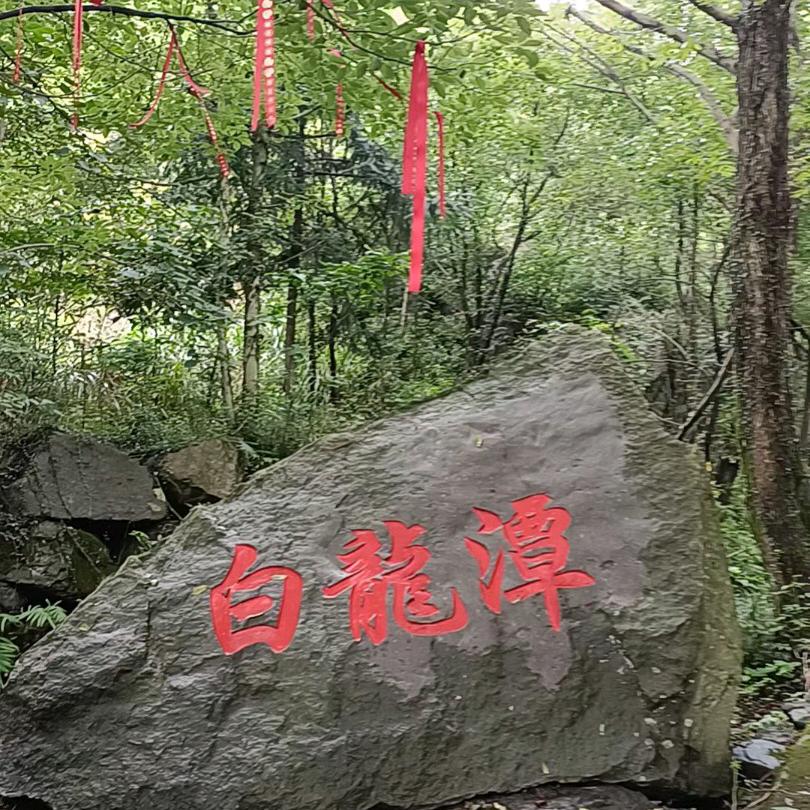 人生天使