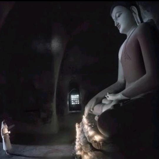 一花一草一世界