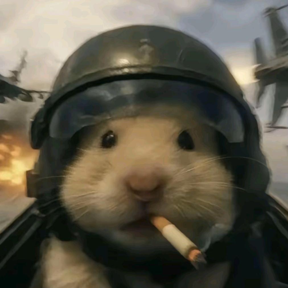 宇宙究极快乐青蛙王