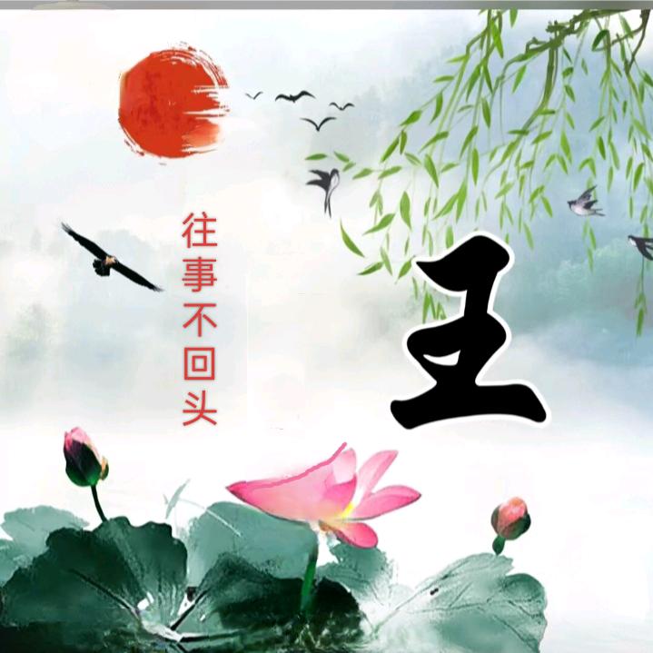 人生💐苦短🌻