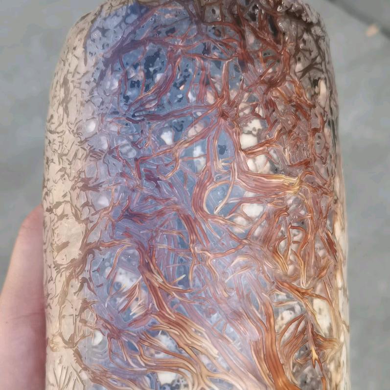 黔赫堂菌业李梦