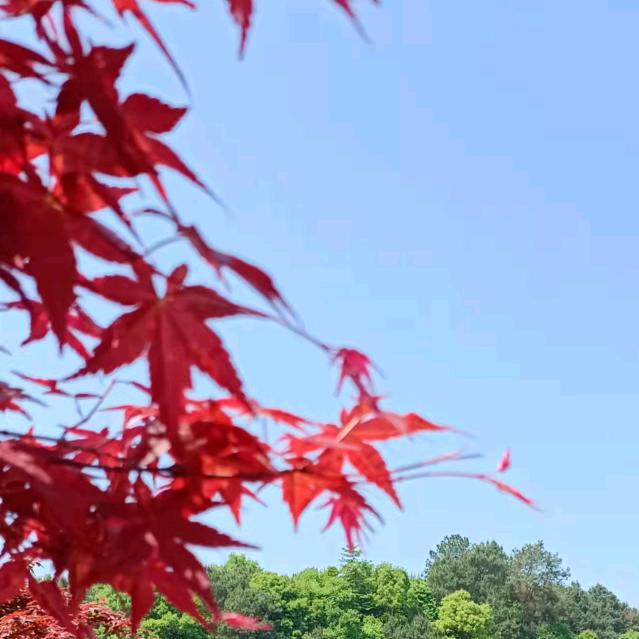 榆超人（康复调理）