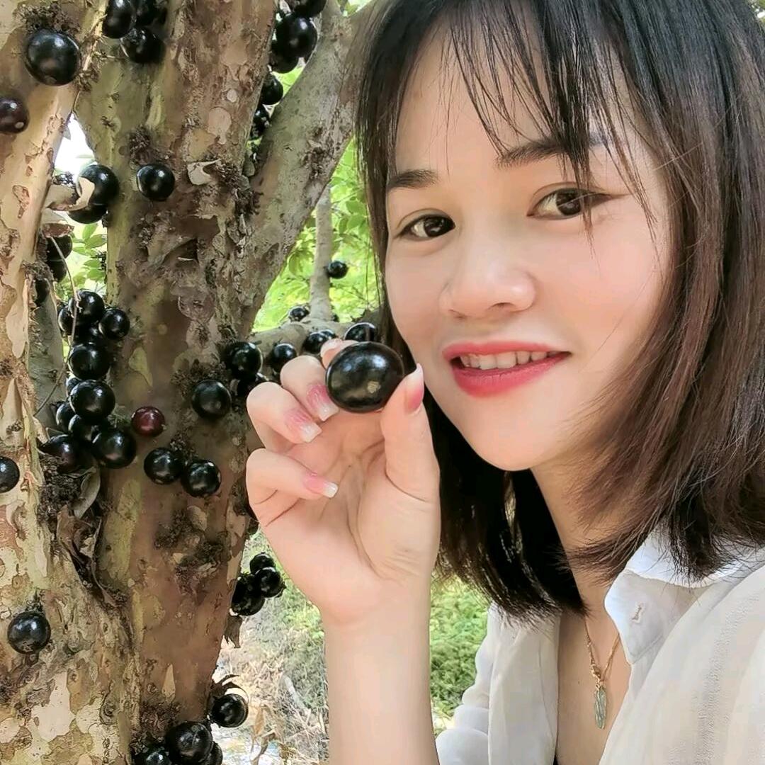 立邦防水美缝
