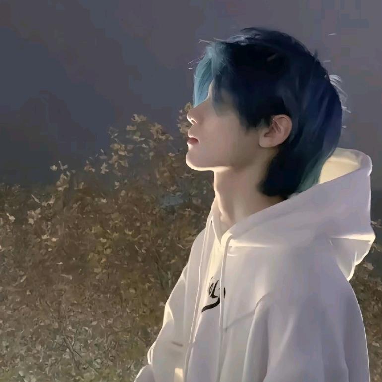 dhhysu