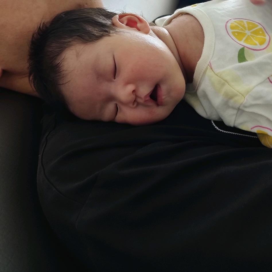 有齿小人——放屁虫成长记录