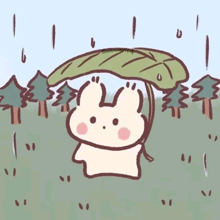 鲤鲤