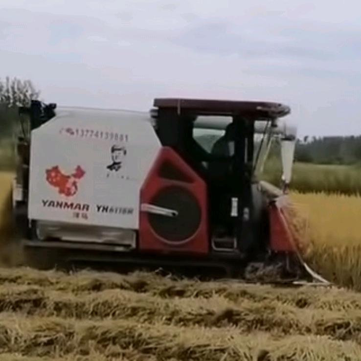稻客（鄂S6118）