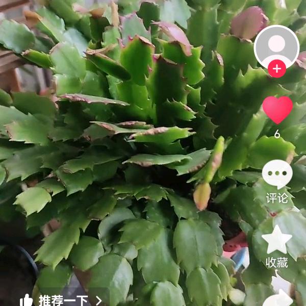 人生 没辙