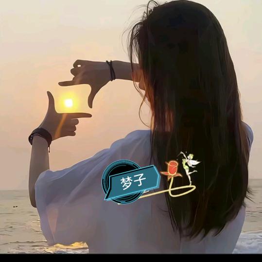 ꧁梦子729꧂