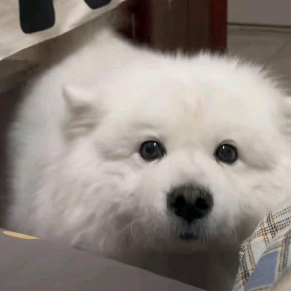季节有二季