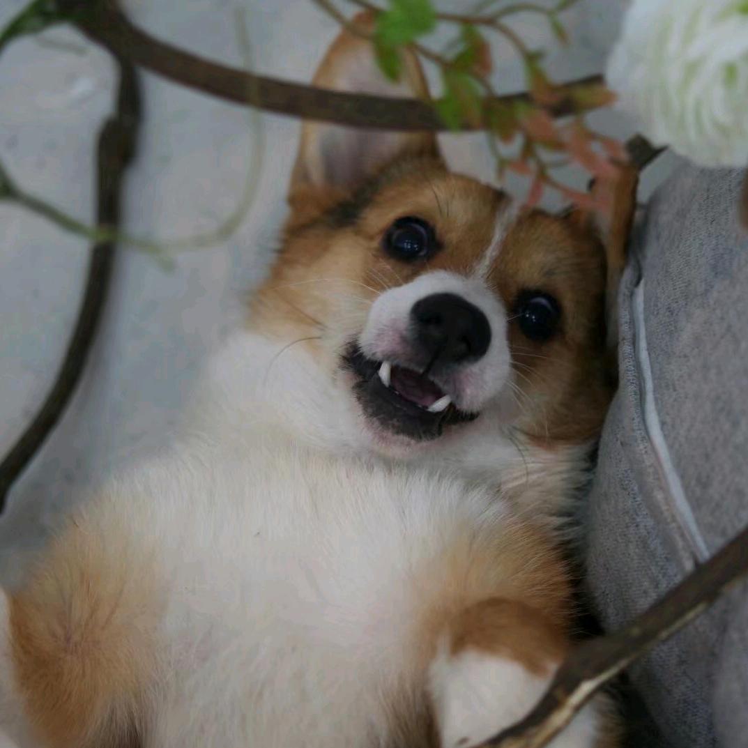 不愿透露姓名的硬朗男子