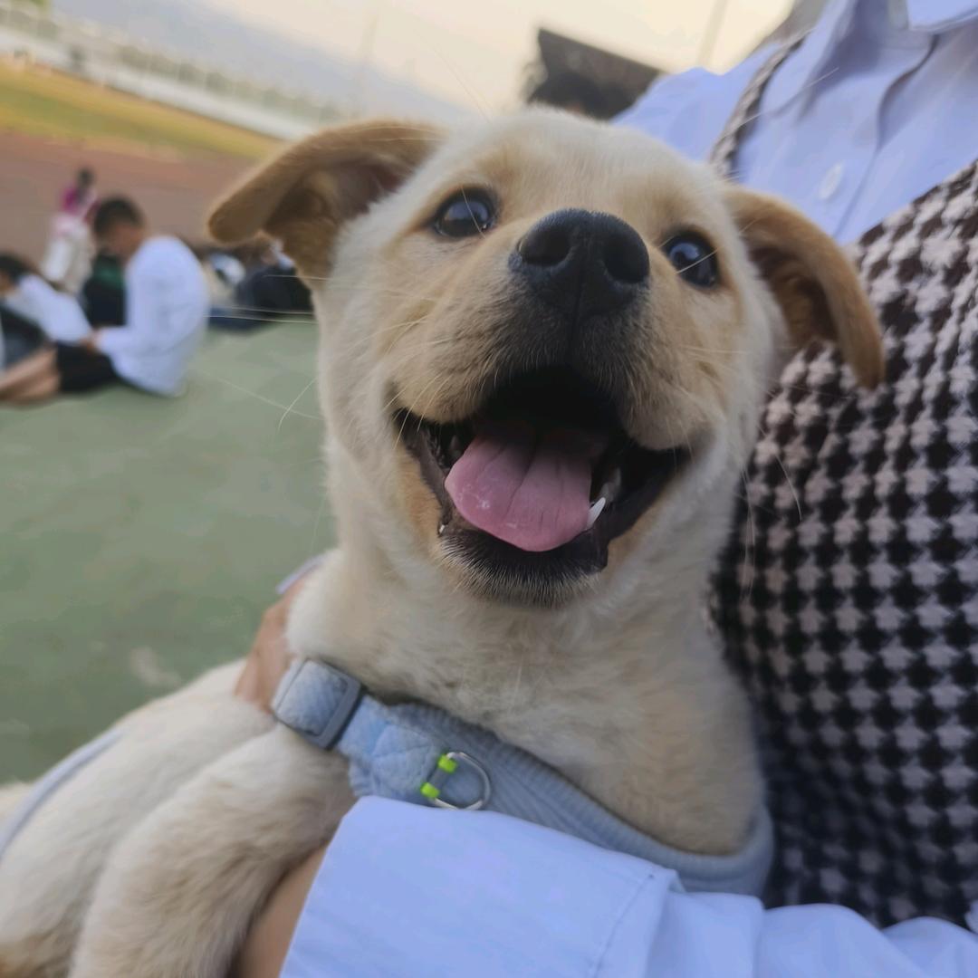 赵乖᳐乖᳐˖ ꒰͡ ͜ ï ͜ ͡꒱ ⁺