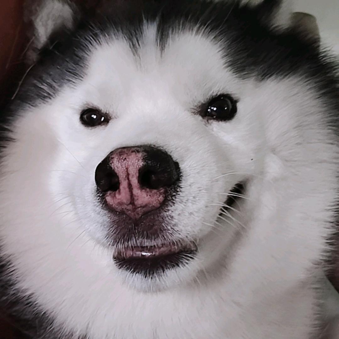 W.Zhan²✌︎( ᐛ )✌︎