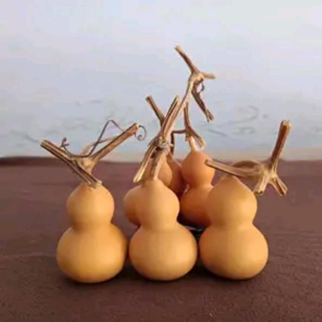 💞六ꦾ༄重天᭄ꦿᩘ🕊