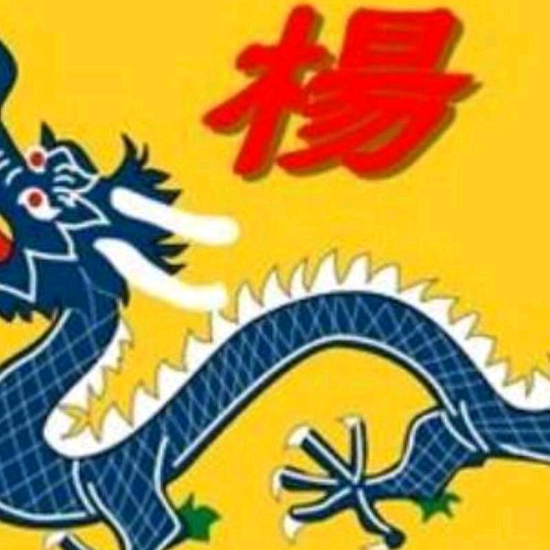 老杨